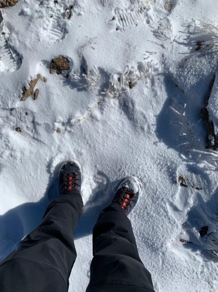 季節体験⛰🏔アンビリ〜バボ〜
